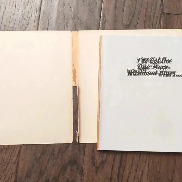 I've Got the One More Washload blues - Picture 2 of 3